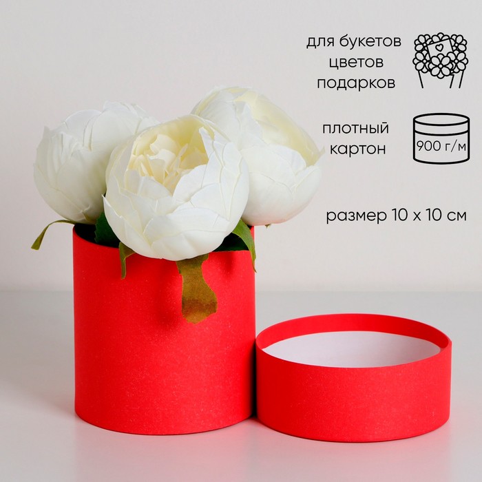

Шляпная коробка красная, 10 х 10 см