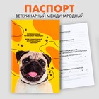 Ветеринарный паспорт международный "Мопс"