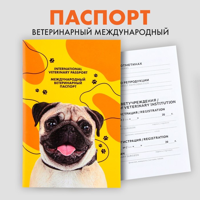 Ветеринарный паспорт международный «Мопс» ветеринарный паспорт международный рыжий кот