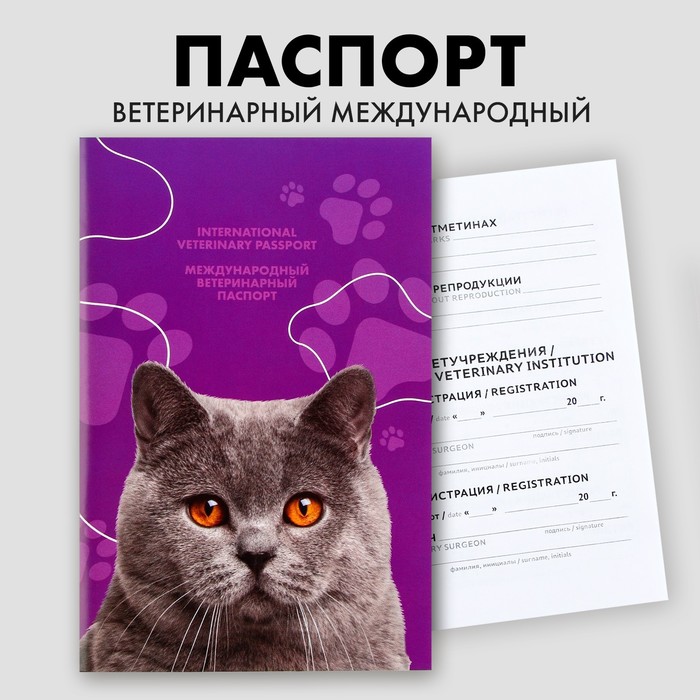 Ветеринарный паспорт международный универсальный для кошек ветеринарный паспорт международный универсальный коты
