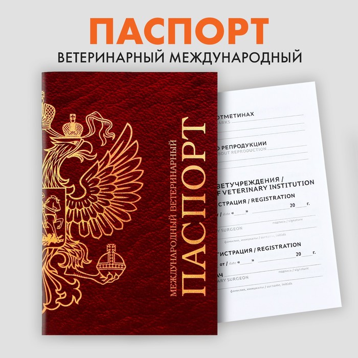 Ветеринарный паспорт международный универсальный паспорт для собак и кошек международный ветеринарный