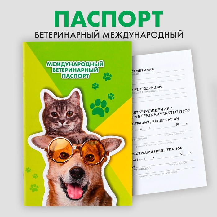 Ветеринарный паспорт международный универсальный «Кот и Собака» ветеринарный паспорт международный рыжий кот
