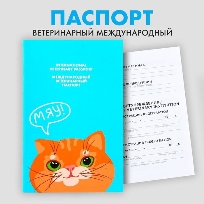 Ветеринарный паспорт международный «Рыжий кот»