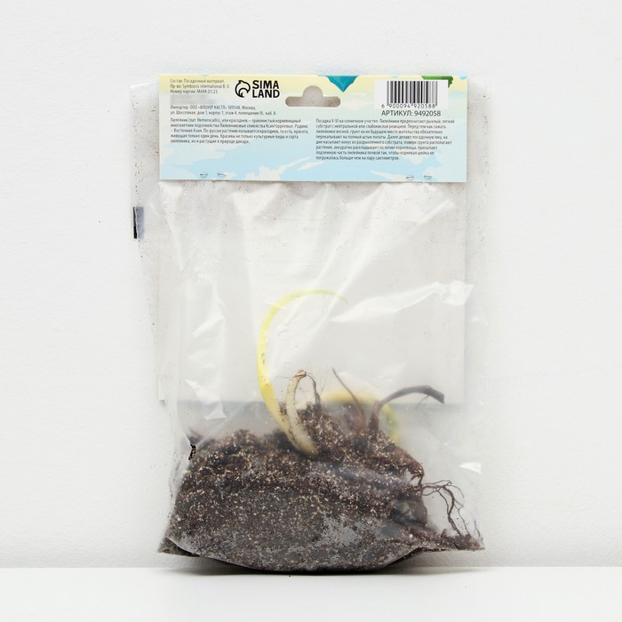 

Лилейник "Minnie Wildfire", р-р I, 1 шт, Весна 2023