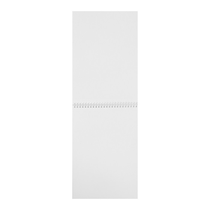 Альбом для Акварели А4 (210 х 297 мм), 200 г/м2, 24 листа, "Гамма. Студия", на гребне, среднее зерно