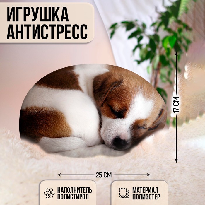 

Игрушка антистресс "Малыш Джек-рассел"