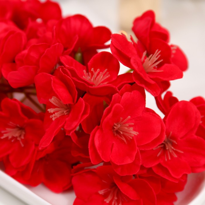 Цветы сакуры мыльные красные, набор 50 шт