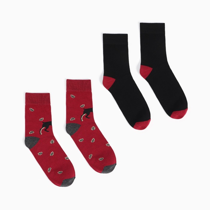 Набор носков мужских (2 пары), цвет бордовый/чёрный, размер 44-45
