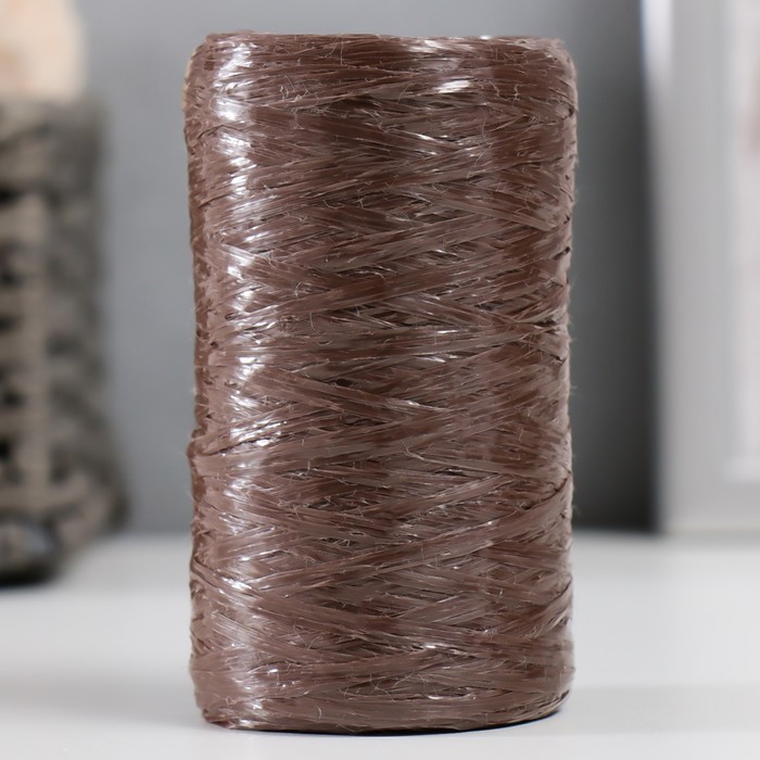 Пряжа для ручного вязания 100 полипропилен 200м50гр. 09-коричневый