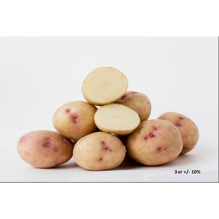 Семенной картофель "Аврора", Элита, 3 кг +/- 10%