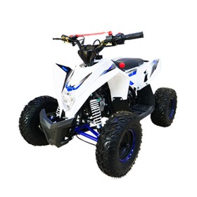 

Детский квадроцикл бензиновый MOTAX GEKKON 90cc 1+1 (реверс), бело-синий