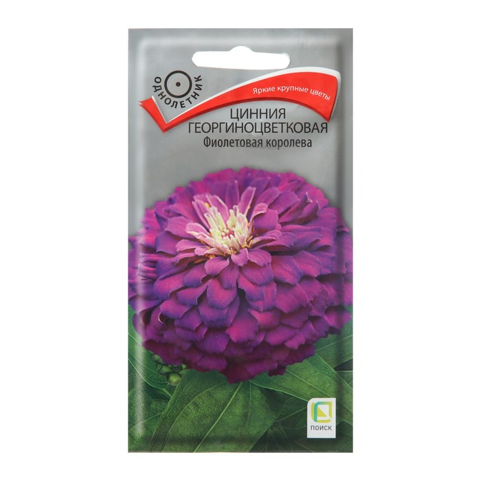 Семена цветов Цинния георгиноцветковая Фиолетовая королева 0,4 г