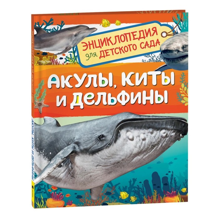 Акулы, киты и дельфины. Клюшник Л.В. акулы киты и дельфины детская энциклопедия