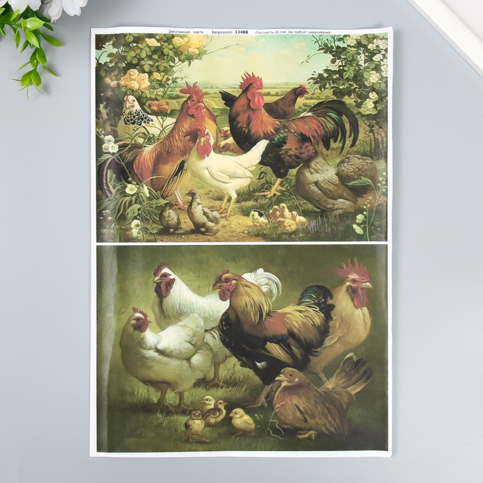 Декупажная карта "Курицы, петухи, цыплята" плотность 45 г/м2 формат А4