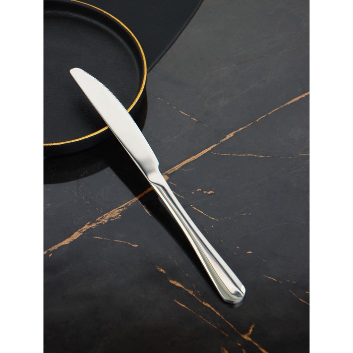 Набор ножей столовых Доляна, h=23 см, толщина 5 мм, 410 сталь, 3 шт