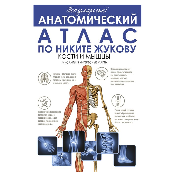 жуков никита эдуардович популярный анатомический атлас по никите жукову кости и мышцы инсайты и интересные факты Популярный анатомический атлас по Никите Жукову. Кости и мышцы. Инсайты и интересные факты. Жуков Н.Э.