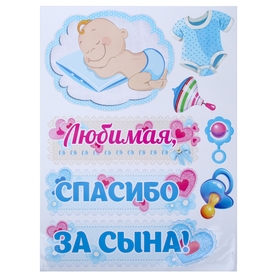 

Наклейка на авто винил выписка из роддома "Спасибо за сына!"