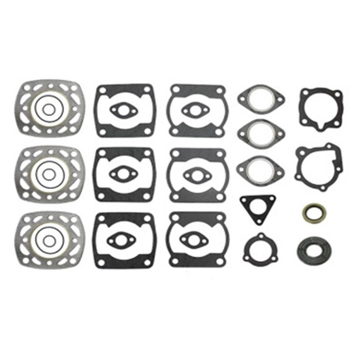 

Комплект прокладок с сальниками, Polaris, OEM 3084522, 3240041, 3084525, 3085308, 3084439