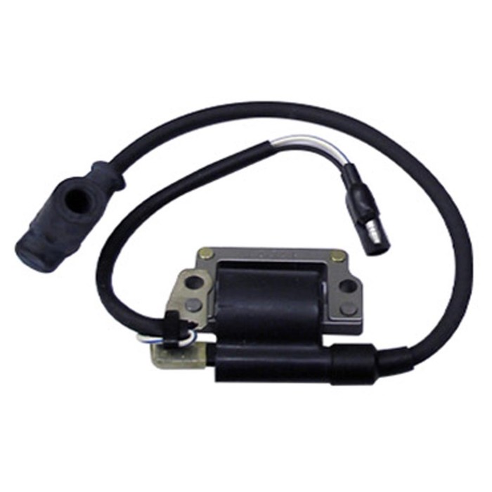 

Катушка зажигания Ski-doo, OEM 420965735, 420965738, SM-01153