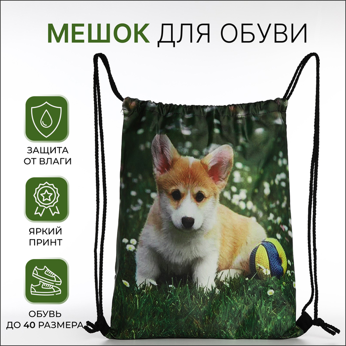 

Мешок для обуви на шнурке, цвет зелёный