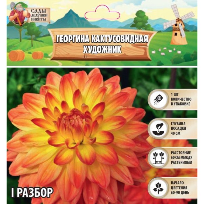 

Георгина Кактусовидная "GUDOSHNIK" , р-р I, 1 шт, Весна 2024