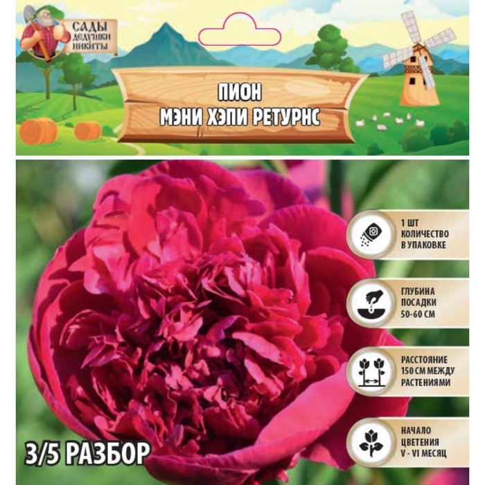 

Пион "Many Happy Return", р-р 3/5, 1 шт, Весна 2024