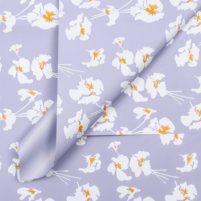 

Пленка для цветов матовая, "Fleur de lis", 57х57см, фиолетовый