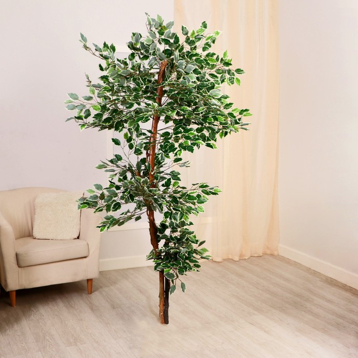 Дерево искусственное Фикус Бенджамина 165 см фикус бенджамина экзотика 24x100 см