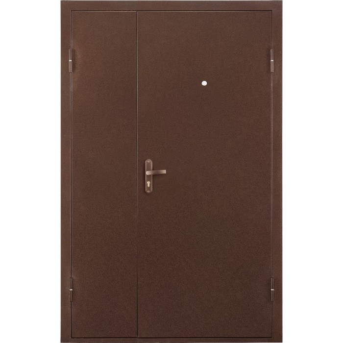 Дверь входная Профи металл/металл 2050х1250 (левая) фото