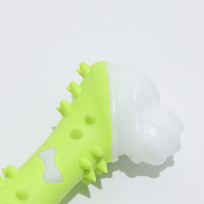 Игрушка двухслойная (твердый и мягкий пластик) "Кость", 12 см, зелёная