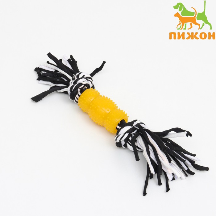 

Игрушка канатная с "леденцом", до 105 г, до 25 см, чёрно-жёлтая серия