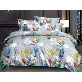 

Постельное бельё 2 сп Art Color, размер 200x220 см, 70x70 см - 2 шт цвет серый