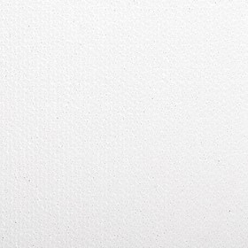 

Холст на подрамнике BRAUBERG ART DEBUT, 25 х 30 см, 280 г/м2, грунт, 100% хлопок, мелкое зерно (191642)