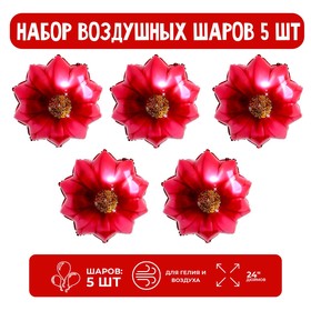 

Набор шар фольгированный 24" "Красная гербера"; 5 шт.