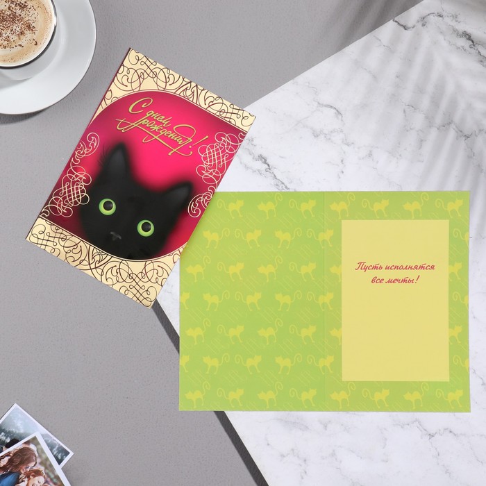 Открытка С Днём Рождения! котик, А5 открытка с днём рождения объемная птица цветок а5