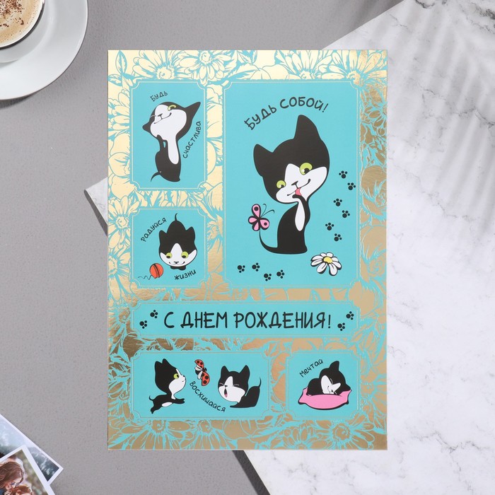 Открытка С Днём Рождения котик, А4 открытка с днём рождения 2