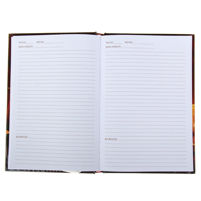 Ежедневник "Думай и богатей", твёрдая обложка, А5, 96 листов