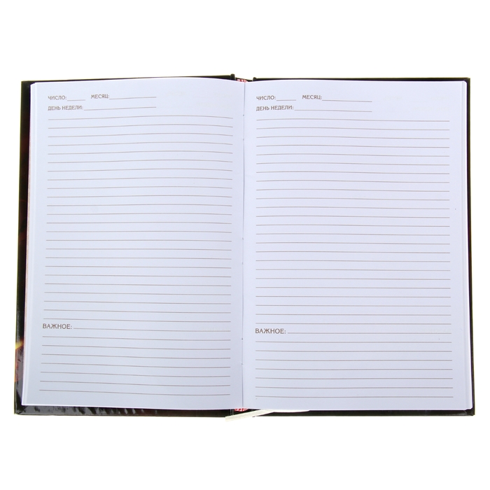 Ежедневник "История моего успеха", твёрдая обложка, А5, 96 листов