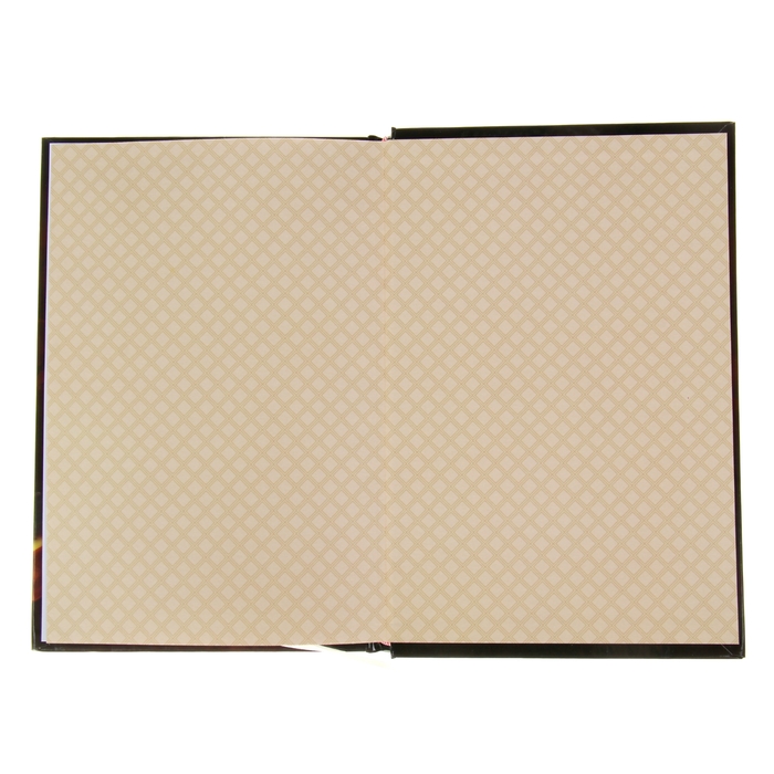 Ежедневник "История моего успеха", твёрдая обложка, А5, 96 листов