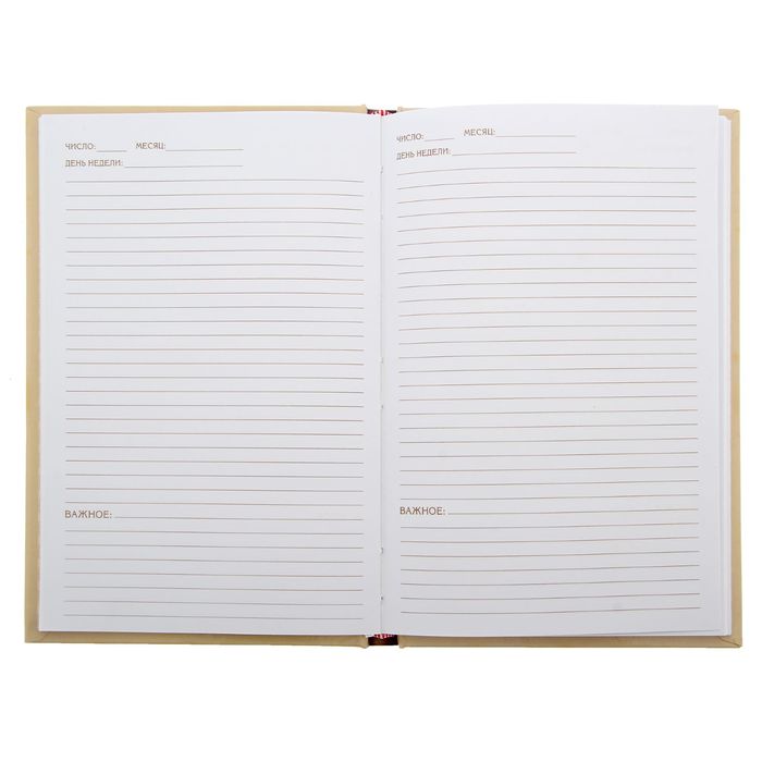 Ежедневник "Мастер и Маргарита", твёрдая обложка, А5, 96 листов