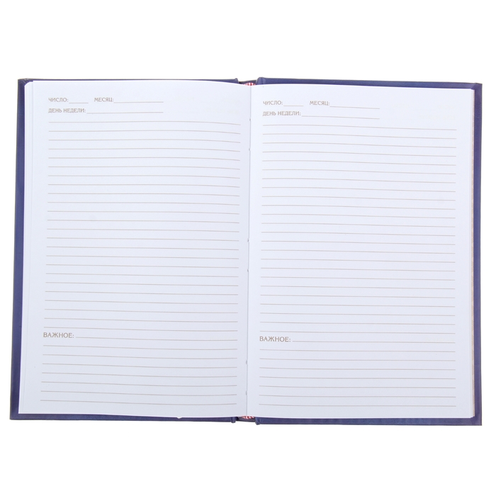 Ежедневник "Ромео и Джульетта", твёрдая обложка, А5, 96 листов