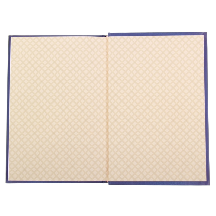 Ежедневник "Ромео и Джульетта", твёрдая обложка, А5, 96 листов