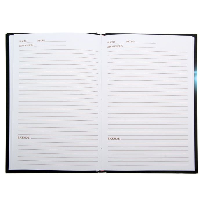 Ежедневник "Лучший из лучших", твёрдая обложка, А5, 96 листов