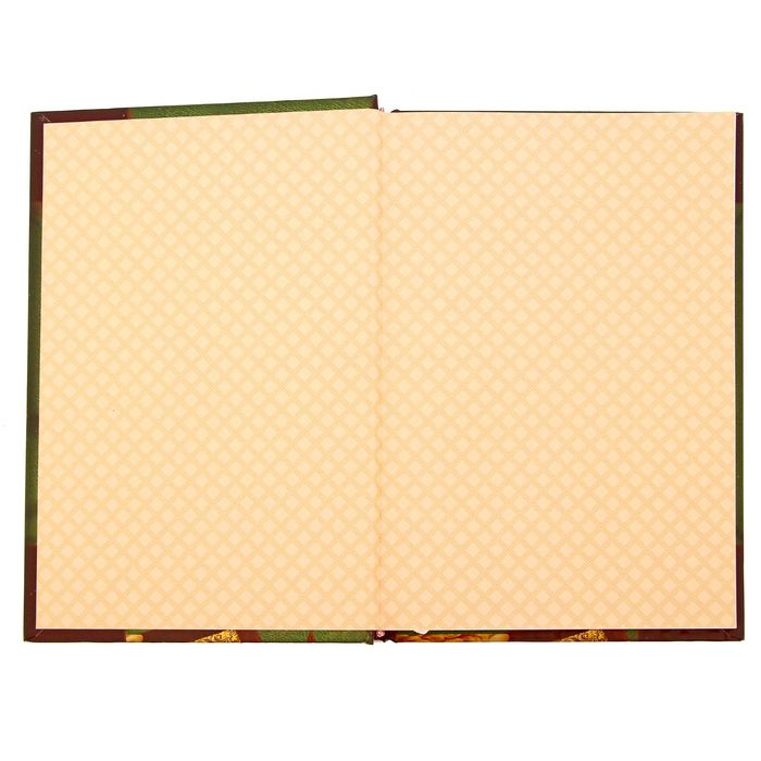 Ежедневник "Бухгалтерский учет", твёрдая обложка, А5, 96 листов