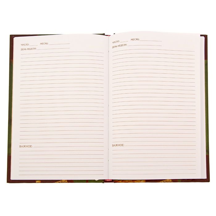 Ежедневник "Бухгалтерский учет", твёрдая обложка, А5, 96 листов