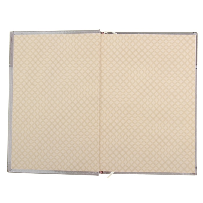 Ежедневник "План по захвату мира", твёрдая обложка, А5, 96 листов