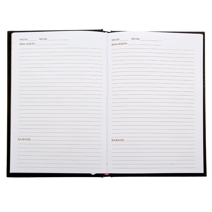 Ежедневник "Записки реального пацана", твёрдая обложка, А5, 96 листов