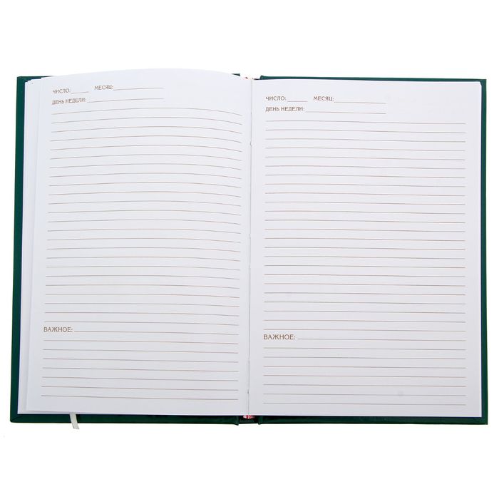 Ежедневник "Мысли великих людей", твёрдая обложка, А5, 96 листов