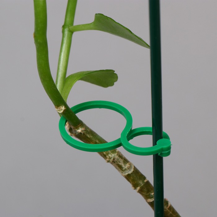 Набор креплений для растений, 6 × 3 см, набор 30 шт., Greengo