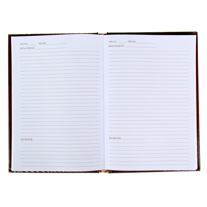 Ежедневник "Наука побеждать", твёрдая обложка, А5, 96 листов